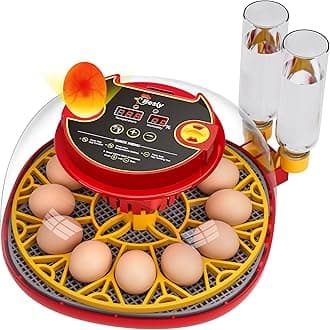 12 Egg Incubator for Hatching Eggs,Automatic Turning,Temperature and Humidity Control Display,360° Viewing for Chicken, Duck, Quail Eggs, Ideal for Farm, Classroom, Home Use,2025 Upgraded Incubators
