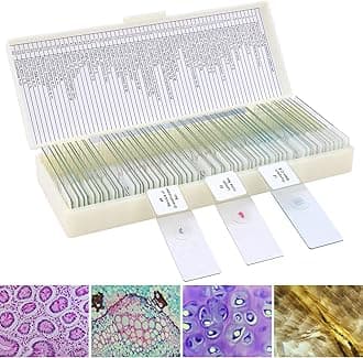 60 Microscope Slides with Specimens for Kids, Prepared Microscope Slides for Kids Microbiology, Prepared Microscope Slides for Adults