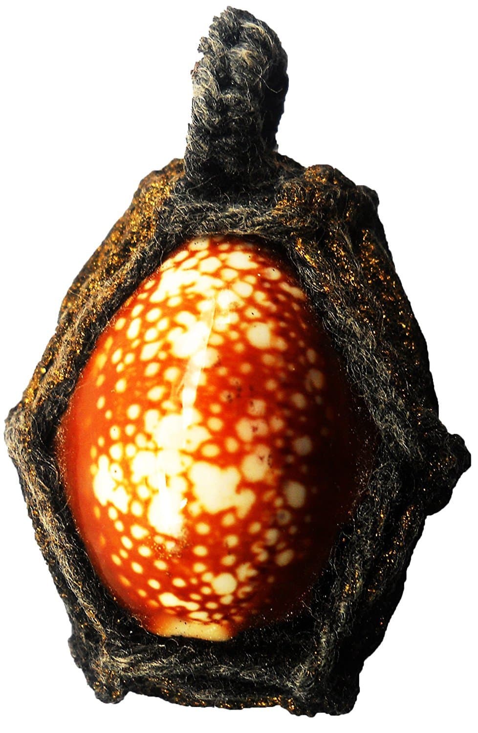 Bia Kae Shell Amulet Thai Magic Lp Rare Black Powerful Phra Sacred Cowrie Pendant Talisman Protection Antiques Old Boon Protect