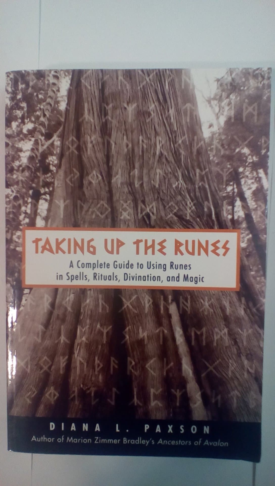 Taking Up The Runes: A Complete Guide To Using Runes In Spells, Rituals, Divination, And Magic Paperback – April 20, 2005