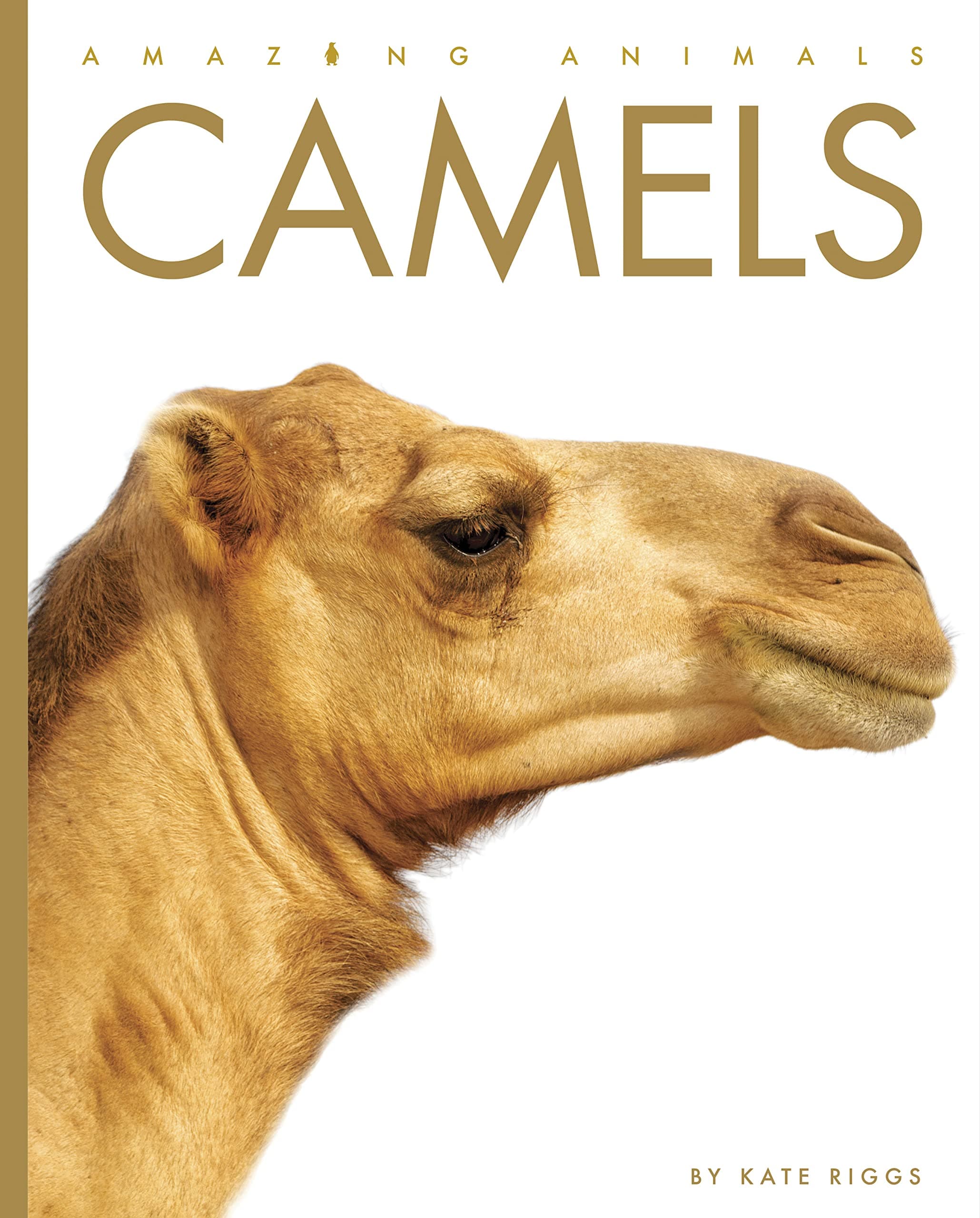 Camels (Amazing Animals)