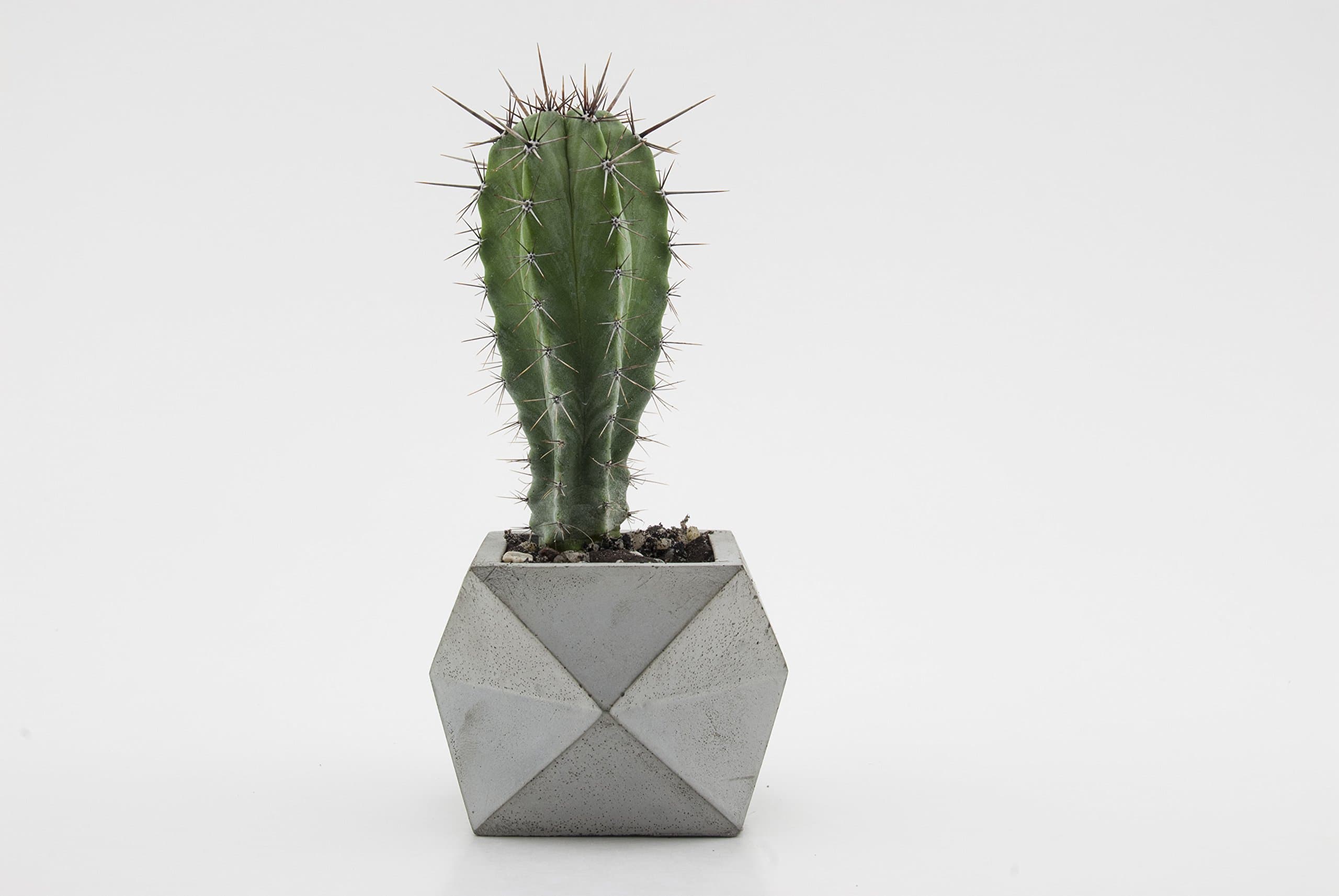 Grey Single Tier Geometric Planter/Concrete Pot/Cement Planter
