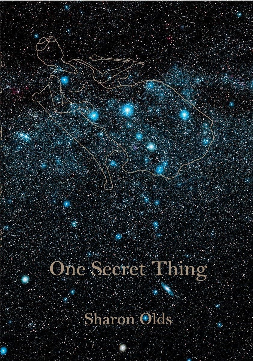 One Secret Thing Paperback – September 30, 2008
