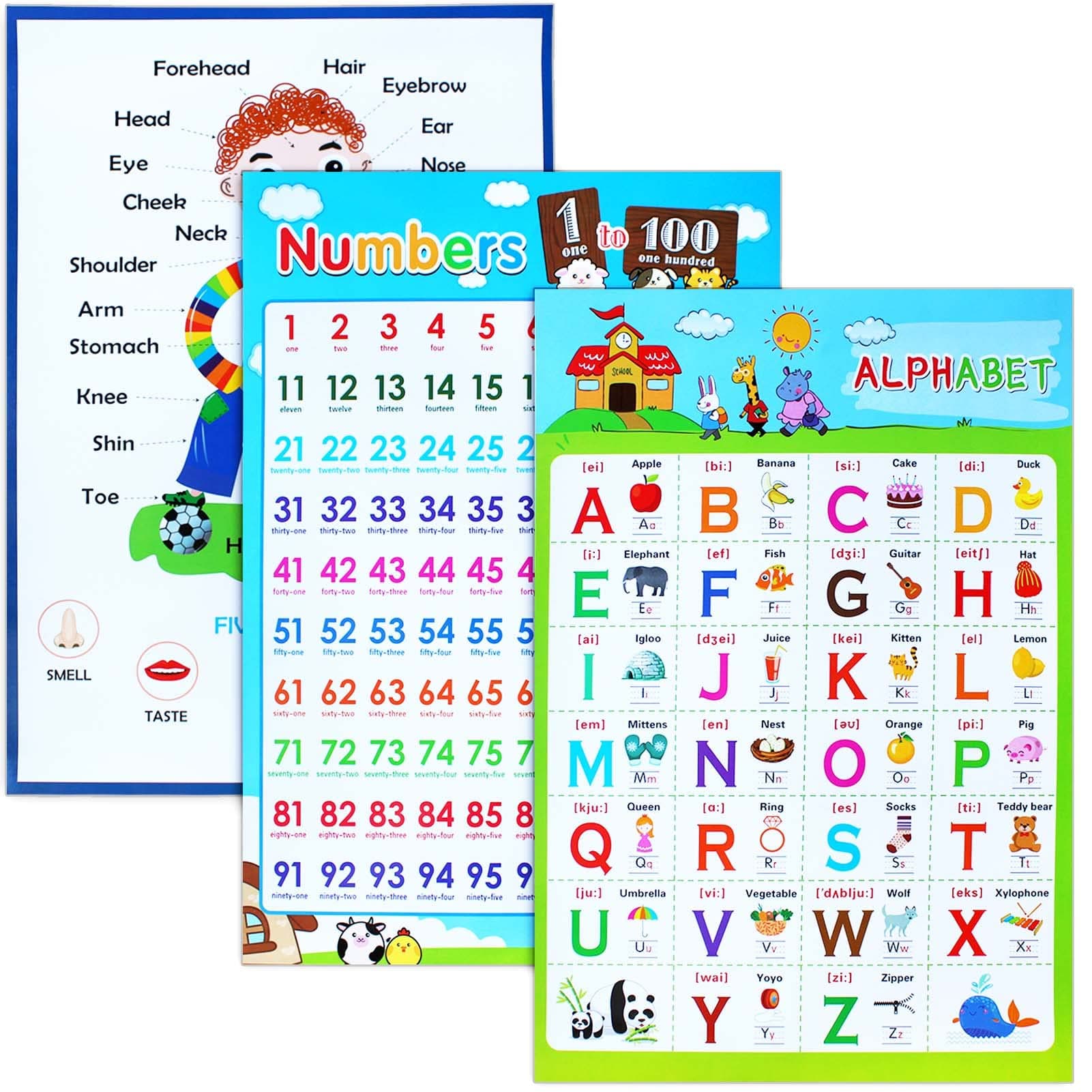 3 Pieces Educational Posters, ICEBLUEOR Laminated Wall Chart Number Senses and Alphabet Posters, Kids Room Classroom Decoration 3 years plus