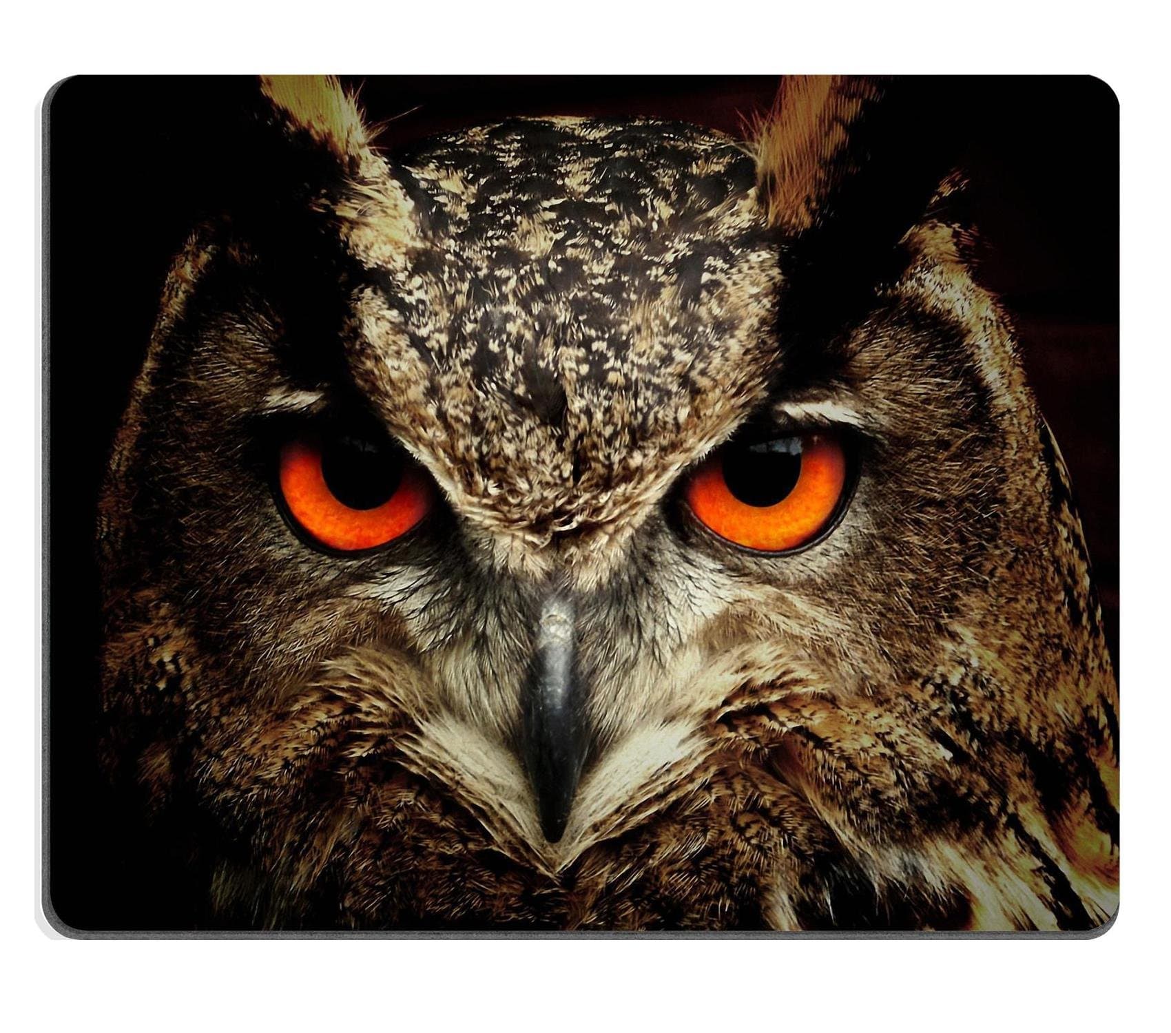 Owl Raptor Nighthawk Bird Minerva Mouse Pads Customized Made to Order Support Ready 9 7/8 Inch (250mm) X 7 7/8 Inch (200mm) X 1/16 Inch (2mm) Eco Friendly Cloth with Neoprene Rubber Luxlady Mouse Pad Desktop Mousepad Laptop Mousepads Comfortable Computer Mouse Mat Cute Gaming Mouse pad