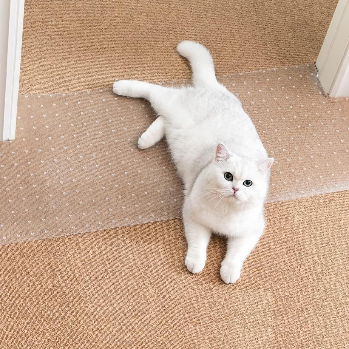Uross Carpet Protector for Pets - 110CM Cat Protector for Doorway, Anti Scratch Under Door slip Cats Scratching Mat, Easy to Cut Plastic pad Scratch Stopper, Cat Scratch Guard