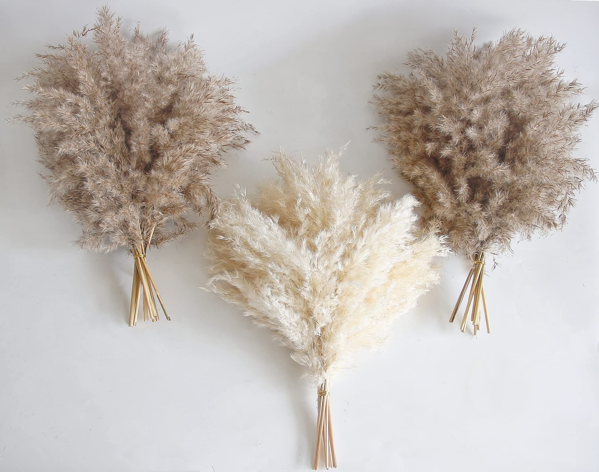 30 PCS Boho Decor, Fluffy Pompas Grass, Natural Dry Pampas Grass Small, Short Pampass Bulk for Boho Room, Coffee Table Decor (17 inch )