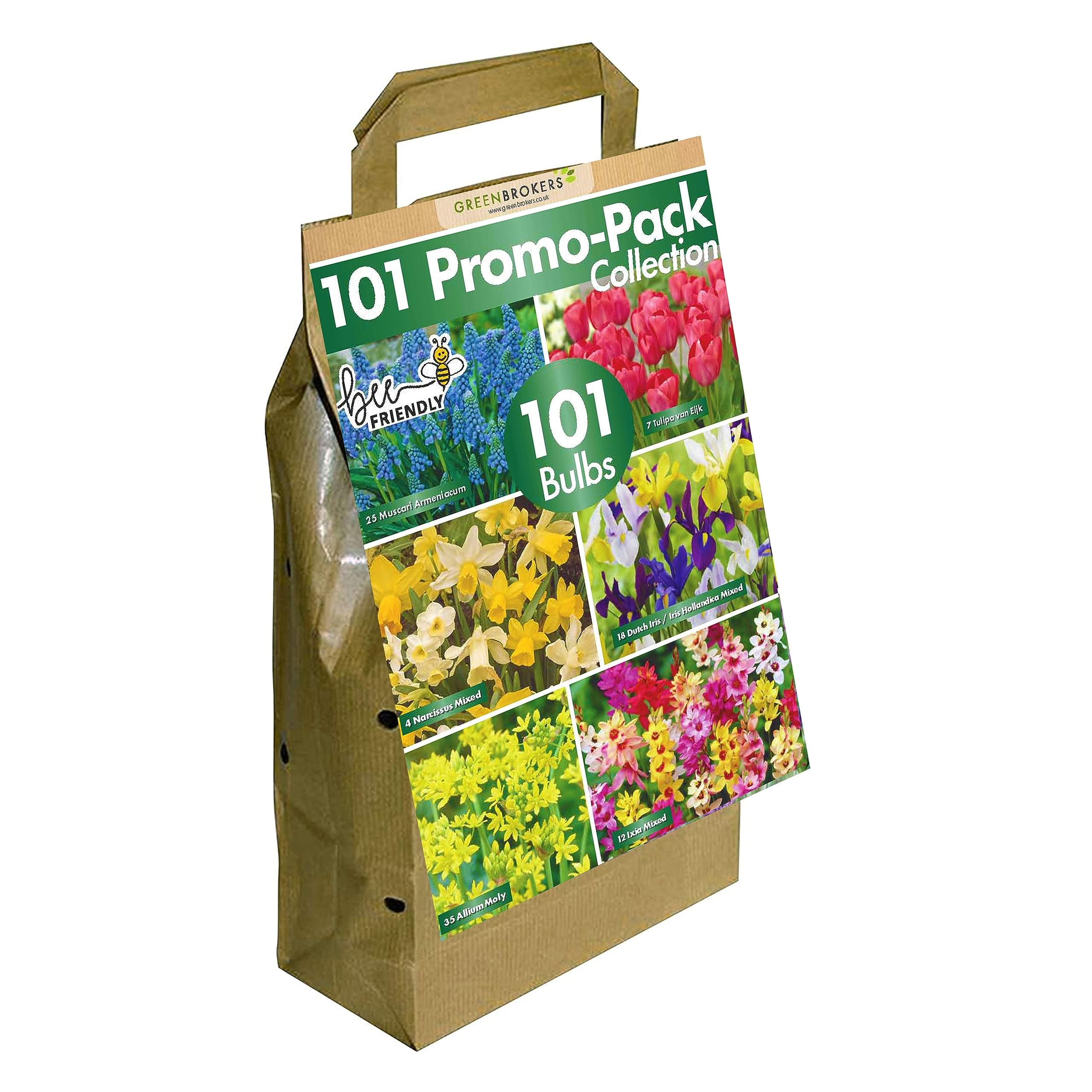 GreenBrokers 101 Promo Pack Bulbs