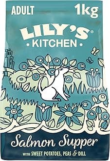 LILY'S KITCHEN Salmon Supper Adult Dog Dry Food - 1KG