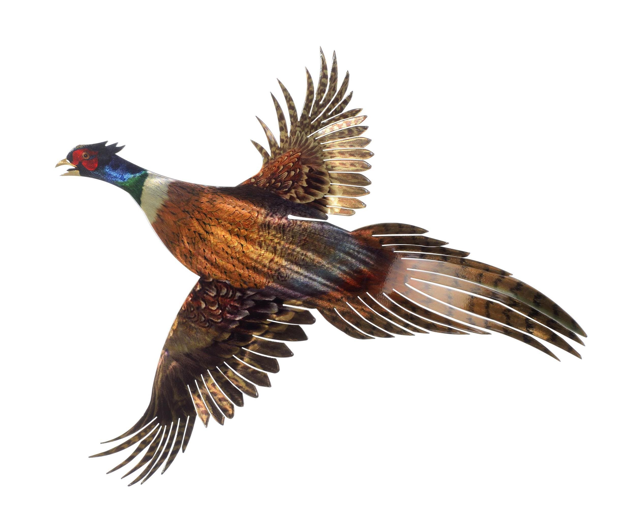 24.5" X 21" Pheasant Refraxions 3D Wall Art