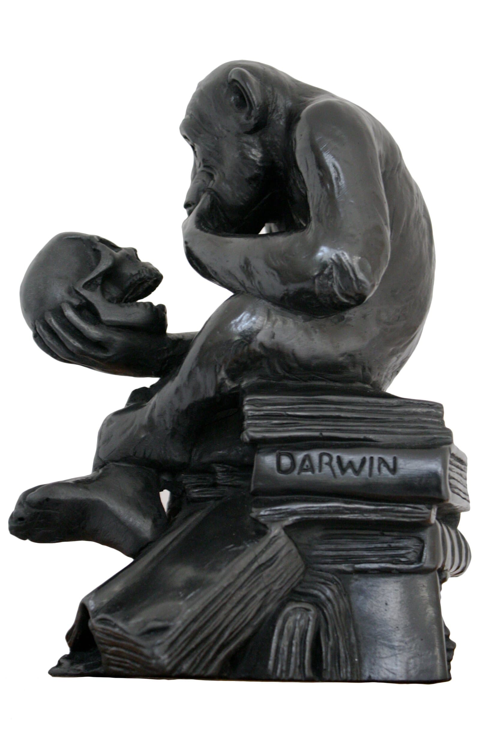 Atelier H Darwin Monkey Holding a Skull Vanity Sculpture