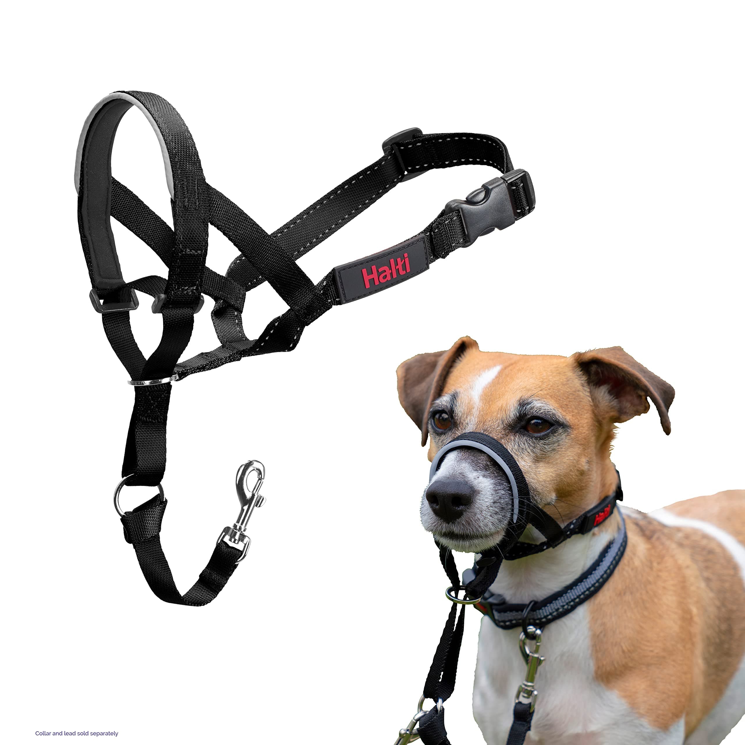 Halti Headcollar - Stop Your Dog Pulling on the Leash. Adjustable, Reflective and Lightweight, with Padded Nose Band. Dog Training Anti-Pull Collar for Small Dogs (Size 1, Black)