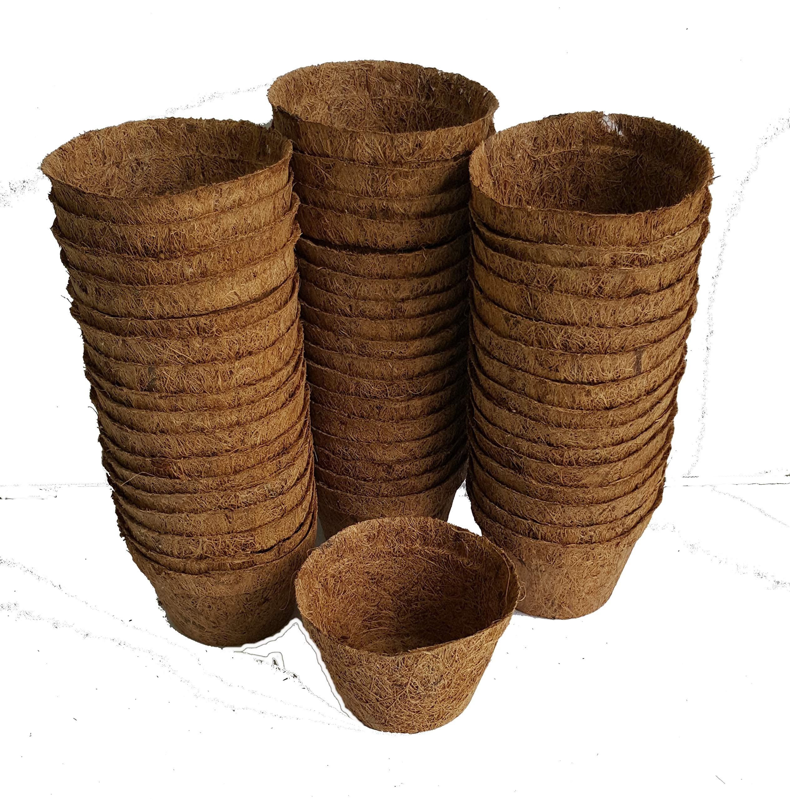 Coir Pots Mini 50x8cm - Plastic Free!