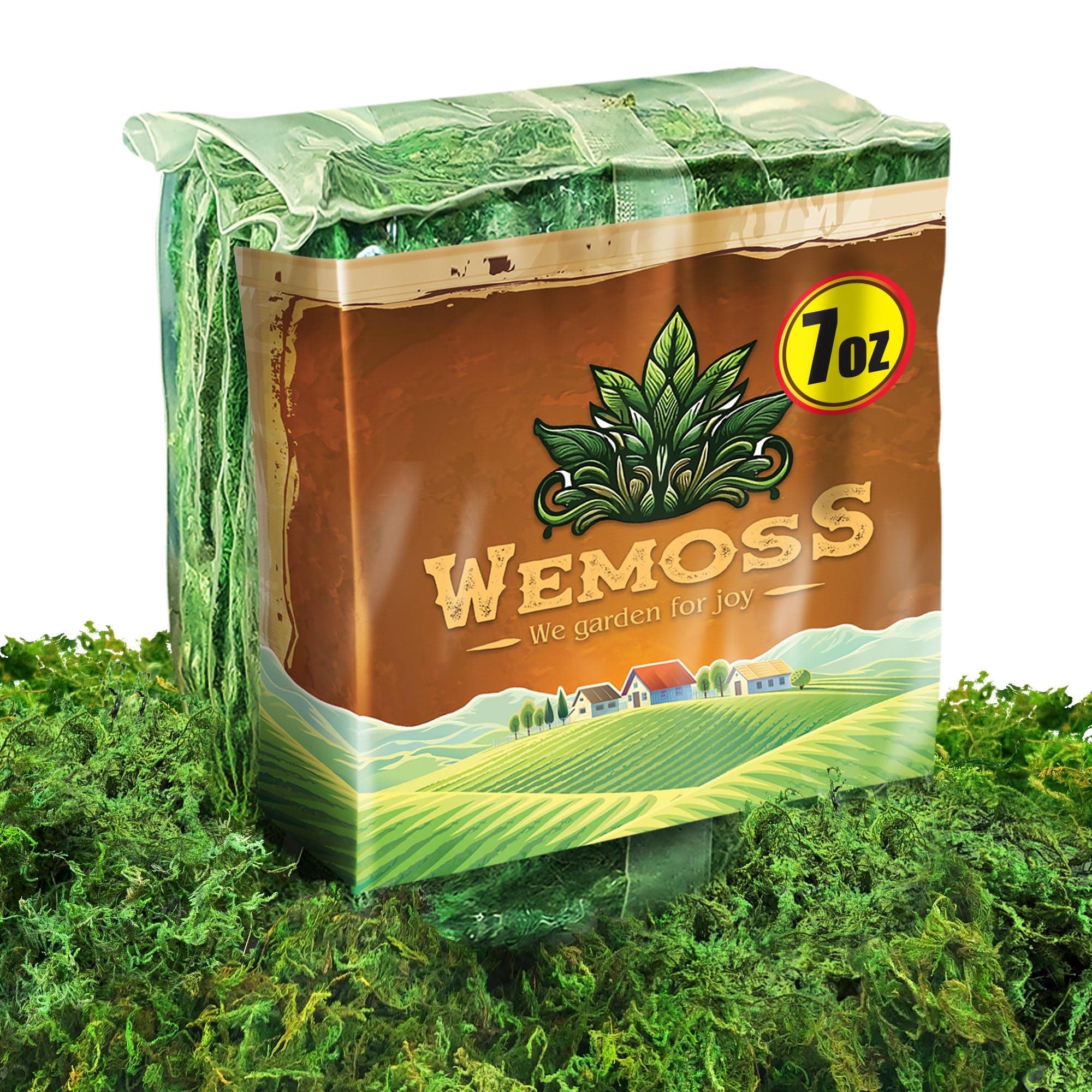 Green Craft Moss, Real Forest Moss for Planters, Decorative Moss for Table Centerpieces Wedding Christmas Fairy Party Decor, Forest Moss for Indoor Planters, DIY Project 7 Oz