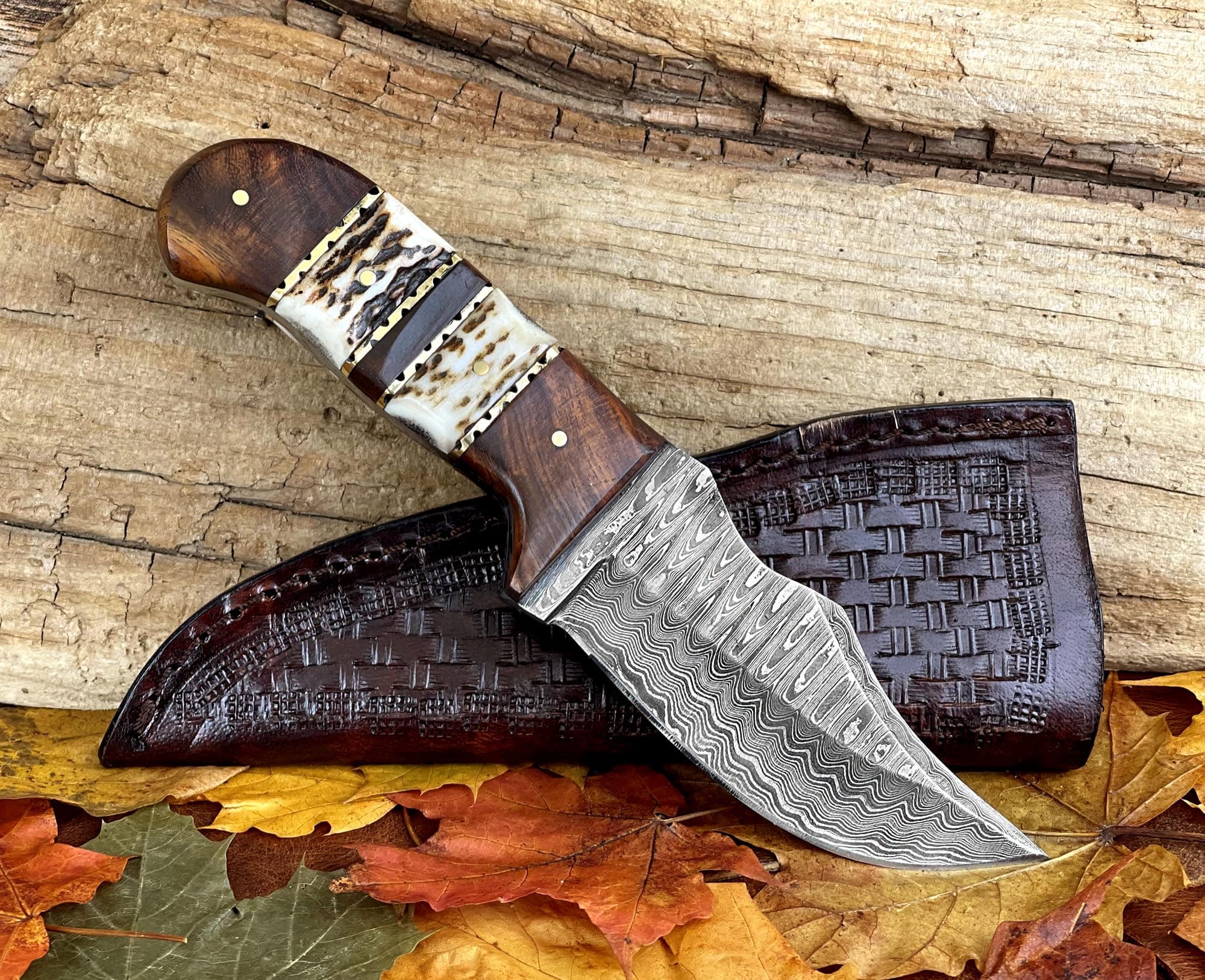 Personalized Stag Horn Handle Fixed Blade Damascus Hunting Knife w...