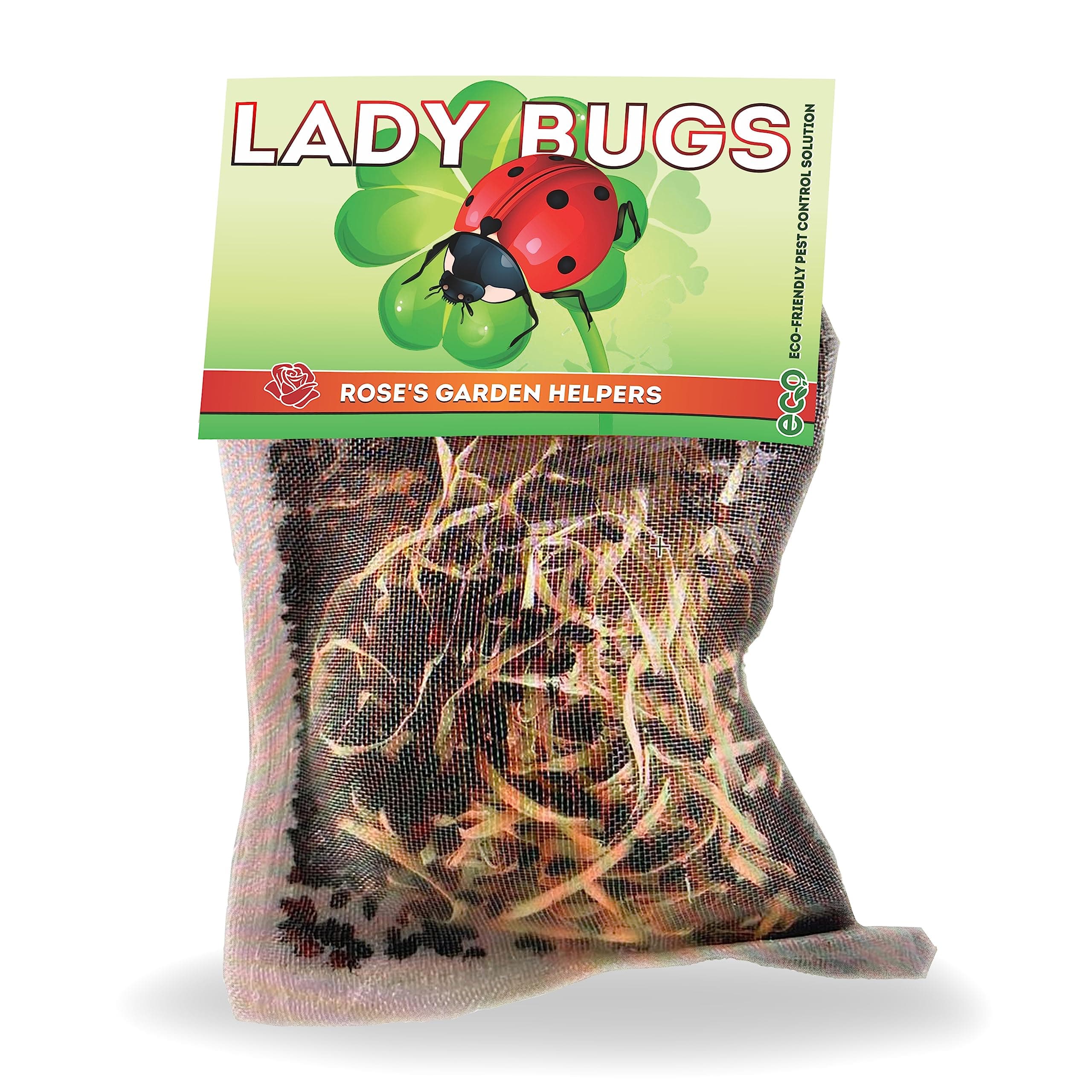 Pre-Fed Live Ladybugs for Aphid Control | Hippodamia Convergens | Mesh Bag (6000)