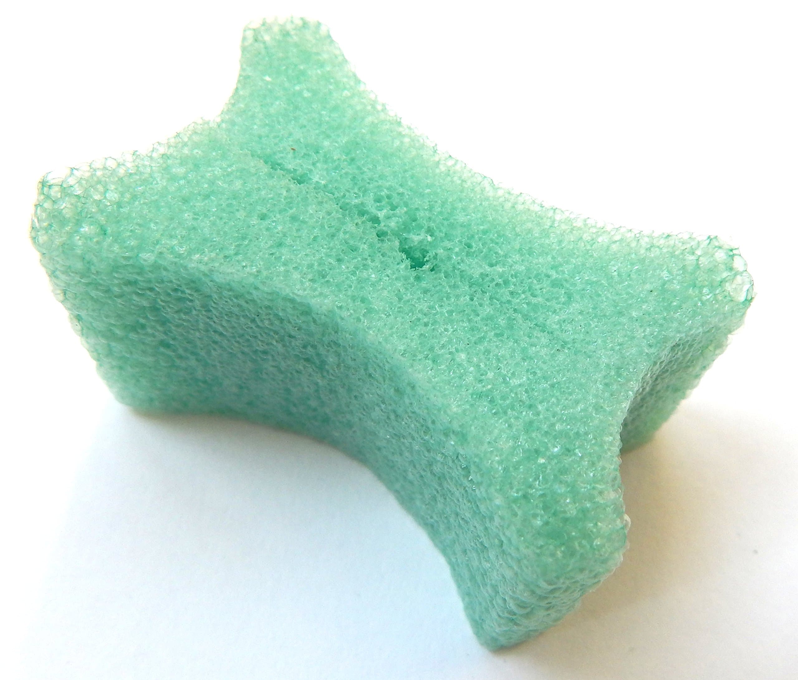 Plant Holder (25, 2")