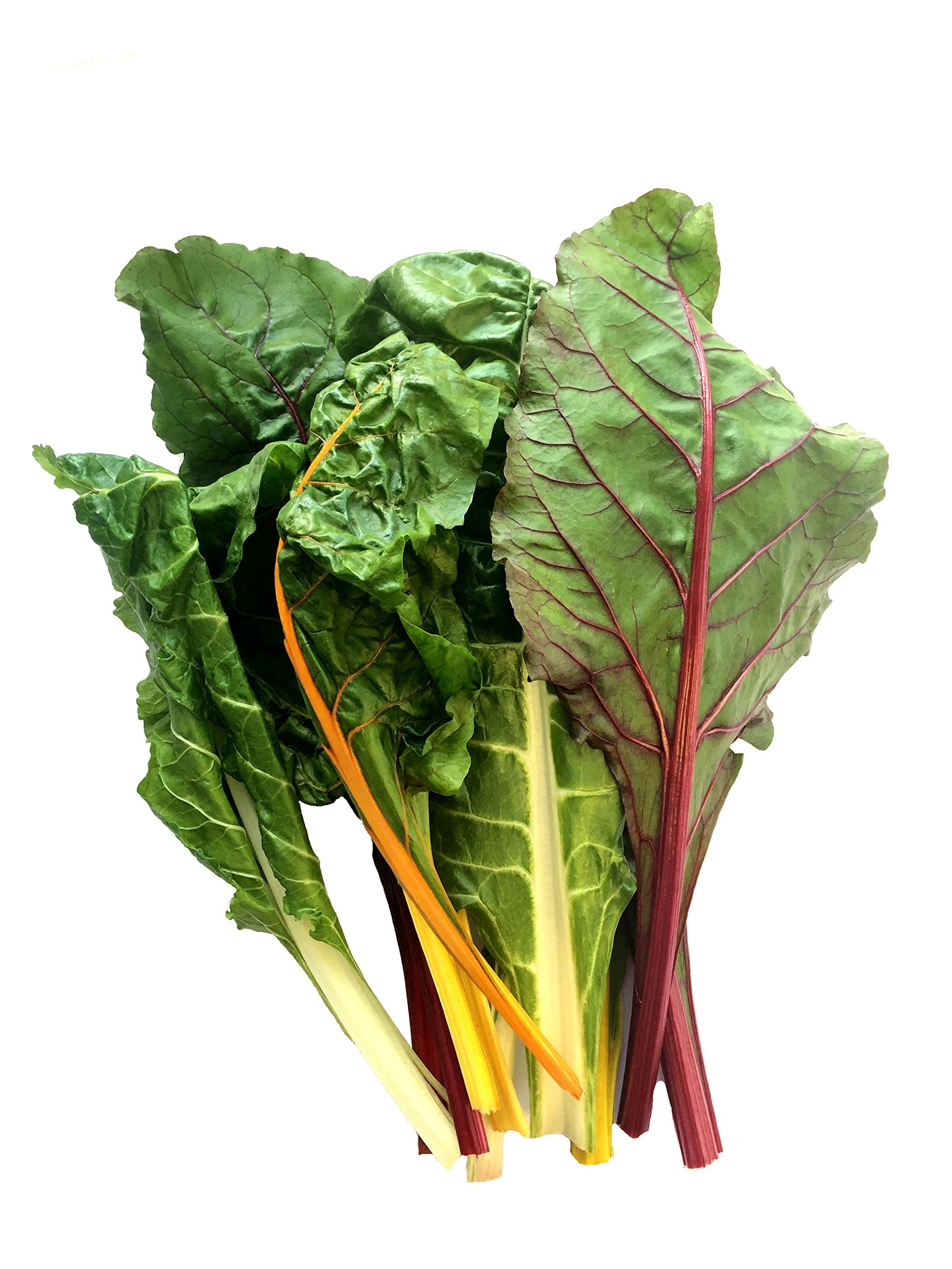 Wonderfully Curious Rainbow Swiss Chard, 200g