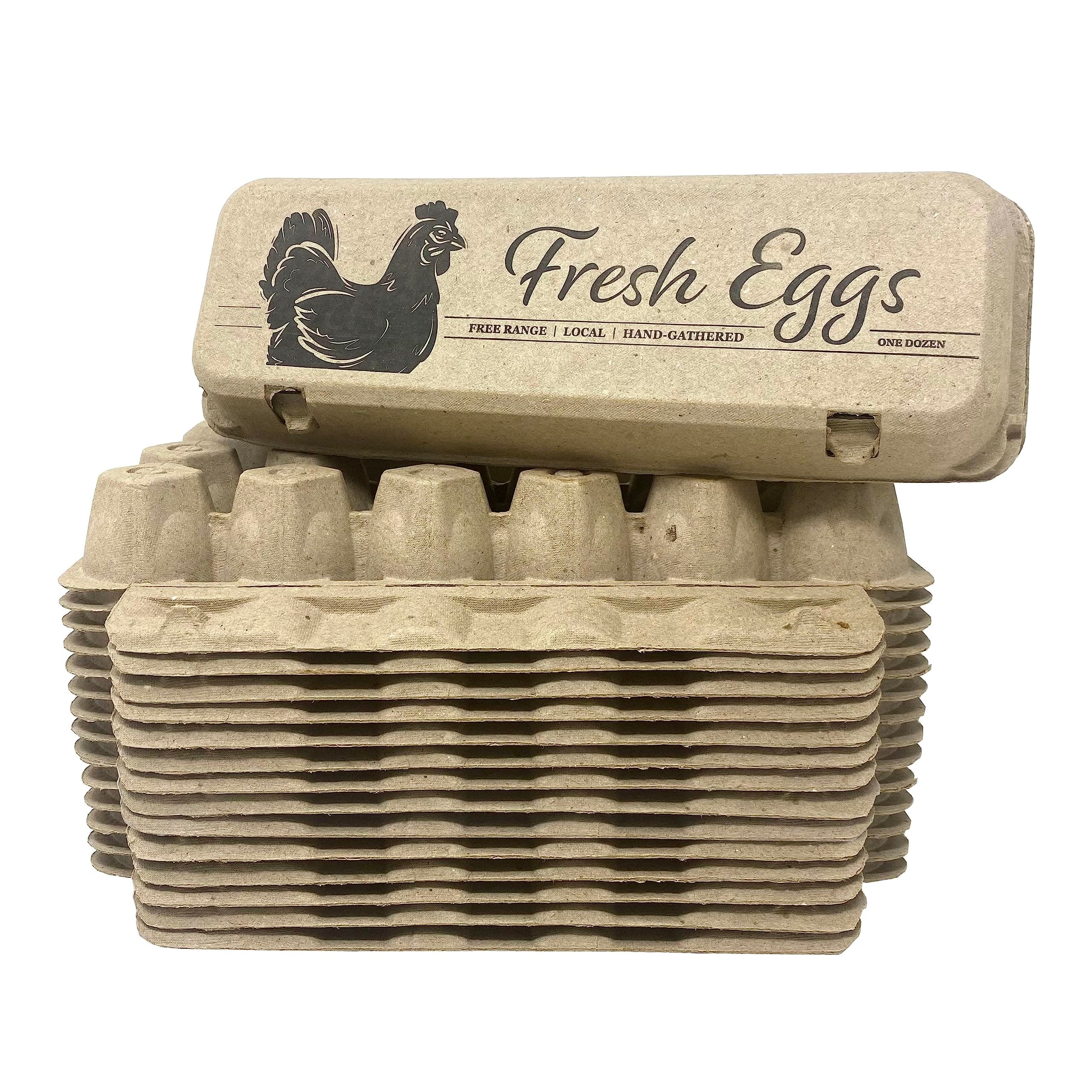 Printed Paper Pulp Egg Cartons - Fresh Eggs (15)
