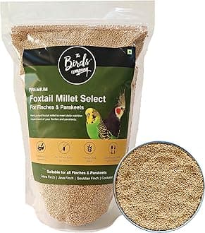 The Birds Company Foxtail Millet (Kangni), Bird Food for All Life Stages Canary, Finches, Waxbills, Budgies, Lovebirds, Cockatiels, Parrots & Parakeets, 450 g