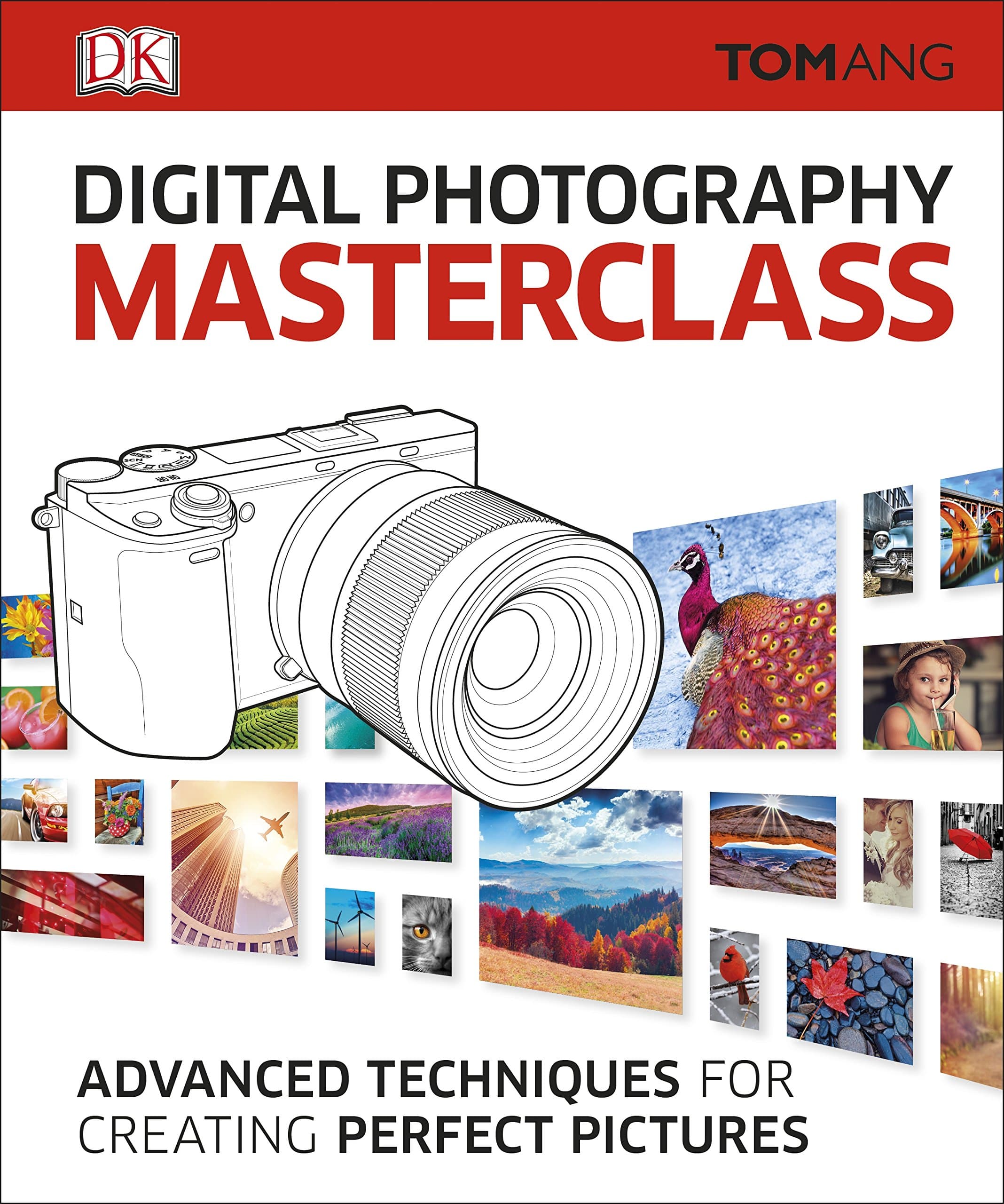 DK Digital Photography Masterclass: Advanced Techniques for Creating Perfect Pictures