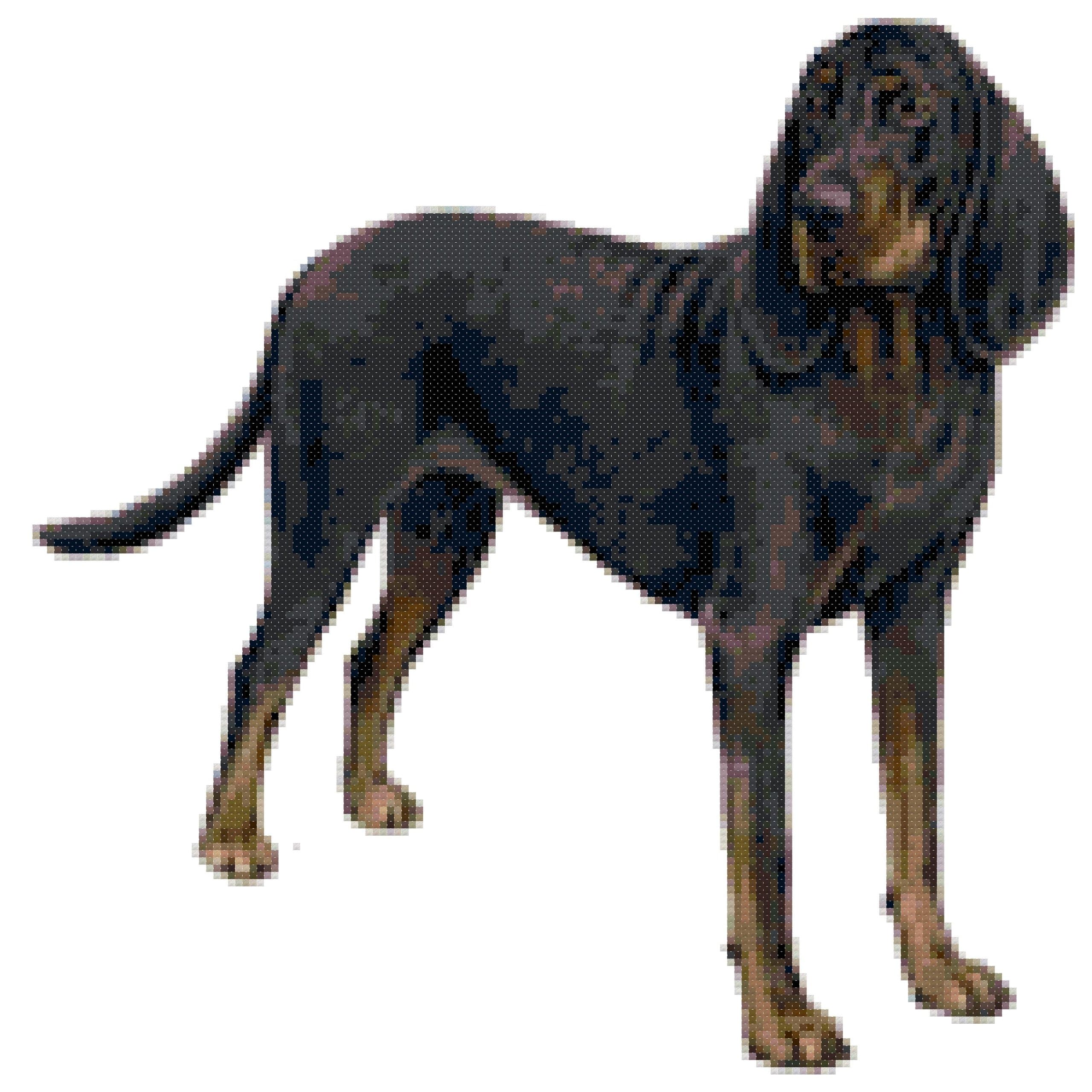Black and Tan Coonhound Dog Counted Cross Stitch Pattern
