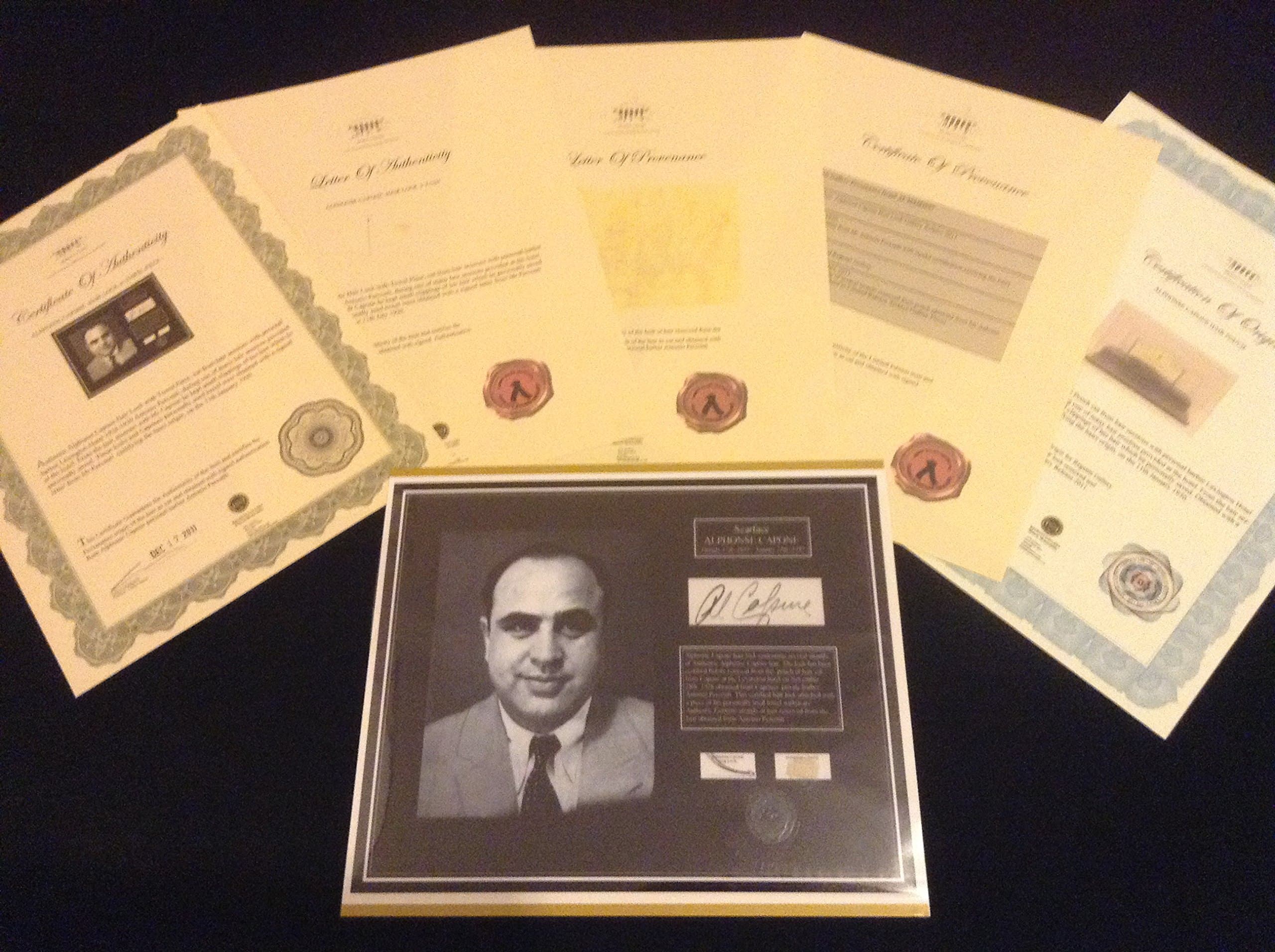 Elvis Presley Hair lock 3