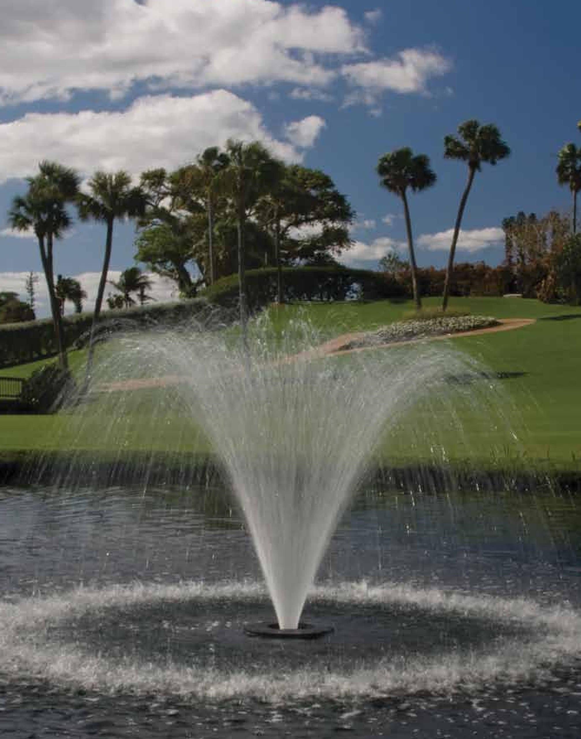 Evolution Series 1/2 Hp Floating Fountain with 100' Motor Cord