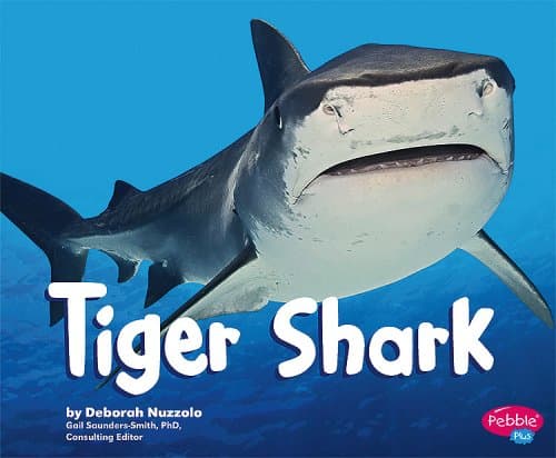 Tiger Shark (Sharks) Library Binding – September 1, 2008