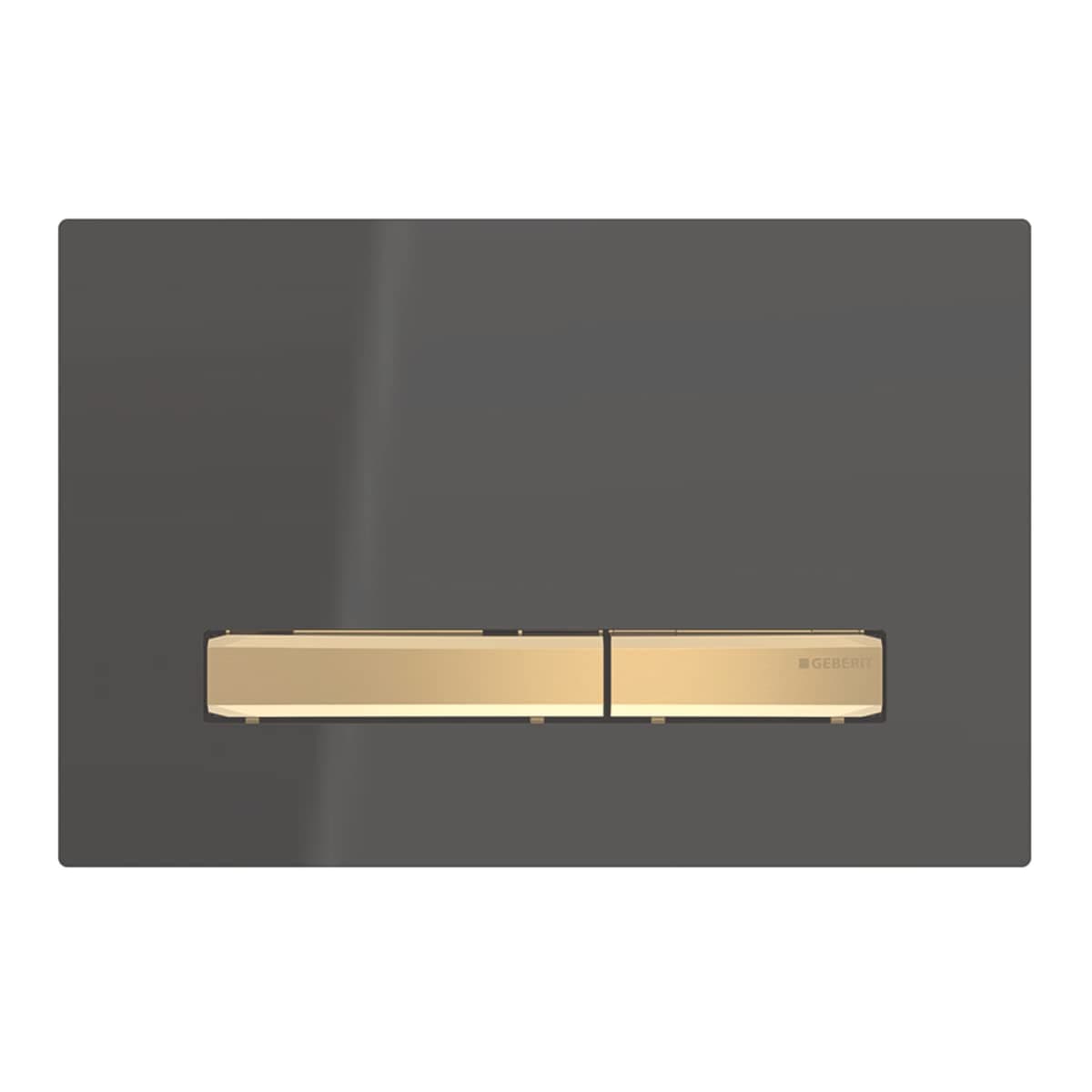 Act plate Sigma50 2019 brass black