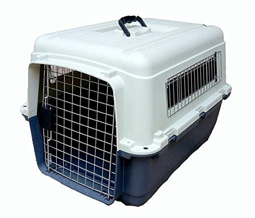 Mr Oreo Iata Approved Plastic Flight Cage for Pets - Blue & White - 20 Inch