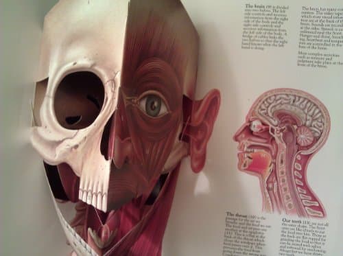 The Human Body: Revised Edition The Classi Three Dimensional 3D book