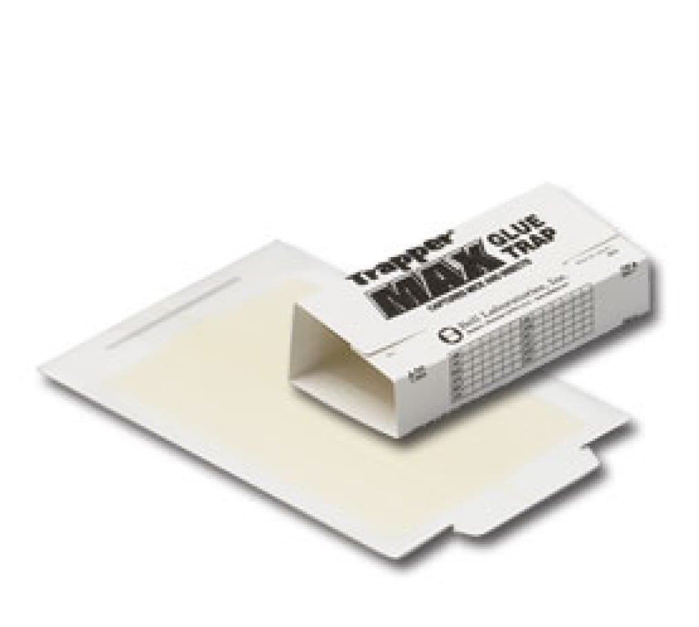 11 Catcher's Maximum 36 Glue Board Trap, White