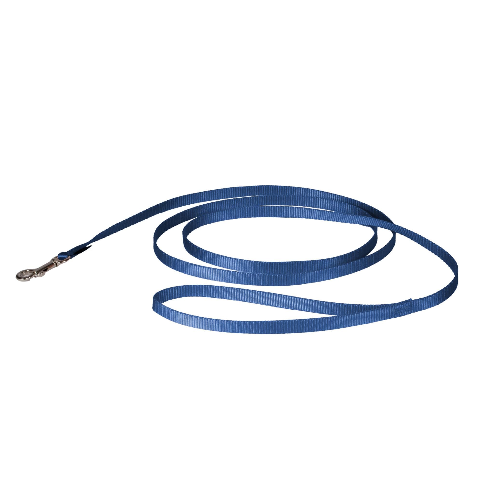 PetSafe Nylon Leash - Strong Dog Leash for Everyday Use - Secure & Simple Design for Reliable Control - Lightweight with Durable Hardware - 3/8 Inch - 6 Feet - Blue