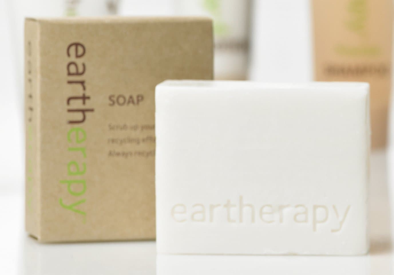 Eartherapy40gm Boxed Soap Case of 300
