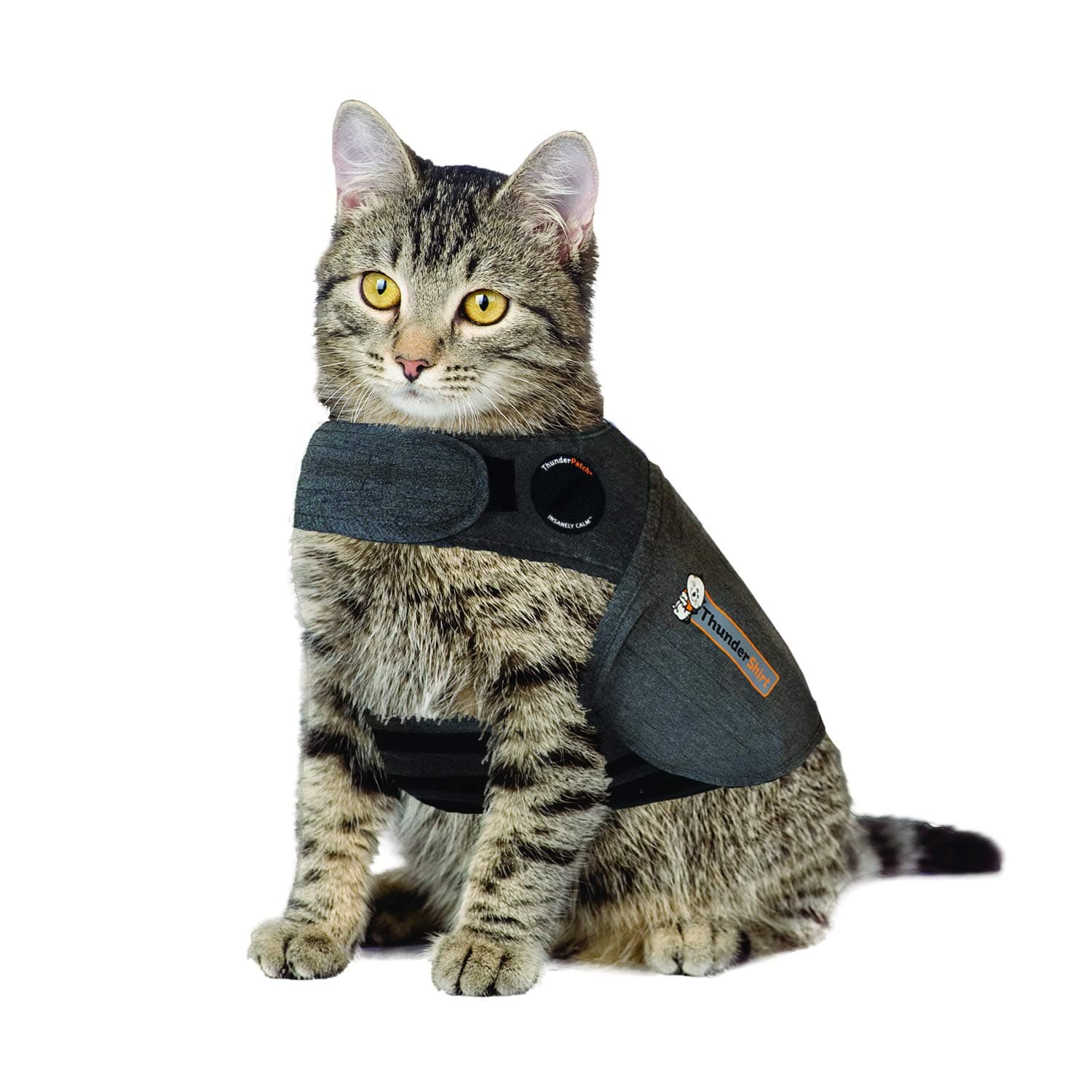 For Cats, Grey, Large ( > 13 lbs)