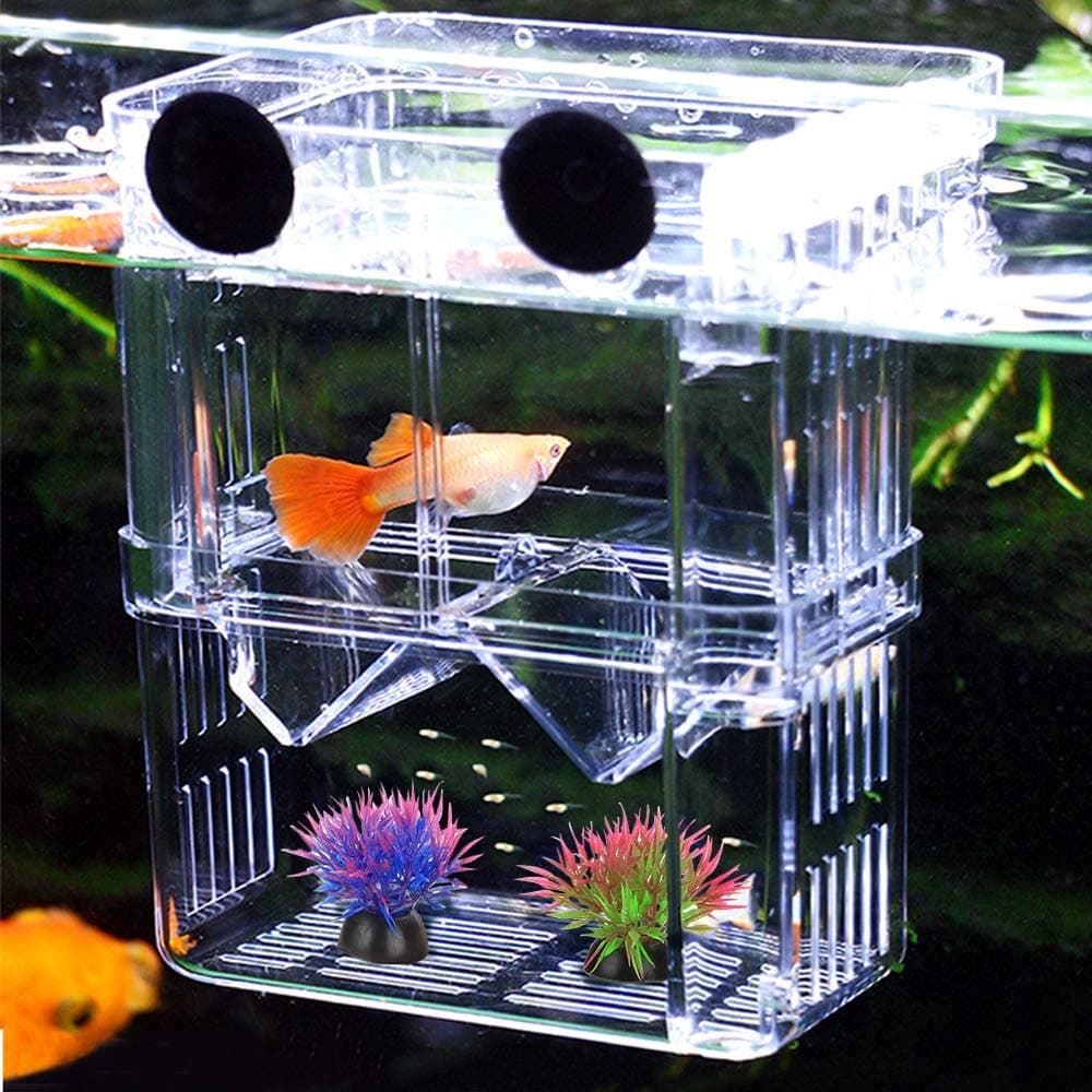 Aquarium Fish Breeding Box,NETUEM Acrylic Double Layer Fish Isolation Box/Baby Fish Hatchery/Fry Breeder Box for Guppy, Fish,Floating Fish Incubator Tank Divider with Suction Cups,L size