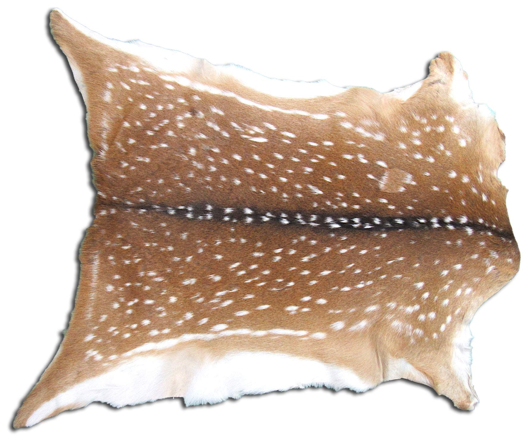 Axis Deer Skin