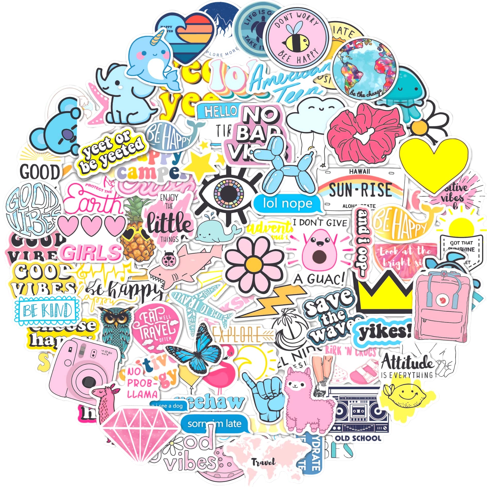 100 Pack Multi-Color VSCO Stickers